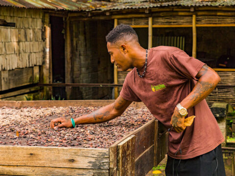 culture_cuisine_cocoa_beans_fond_doux_KT_8849C