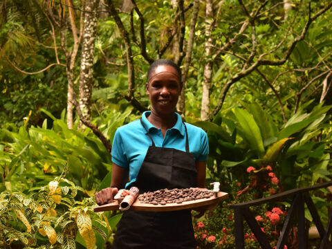 make your own chocolate at fond doux