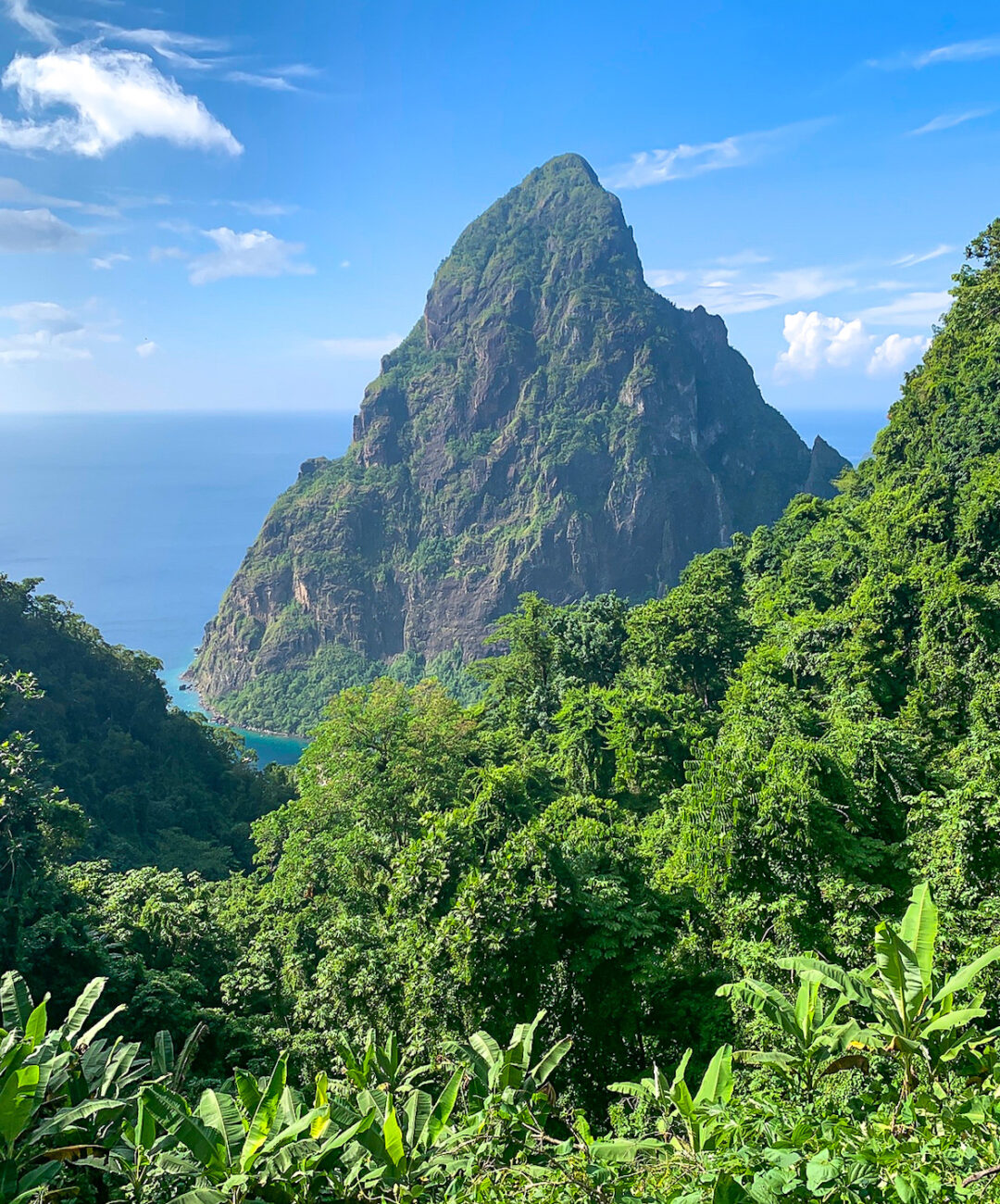 Piton-trail-st-lucia Petit Piton hiking trail St. Lucia