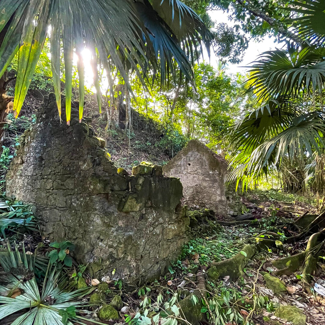 Rabot st lucia Rabot St. Lucia