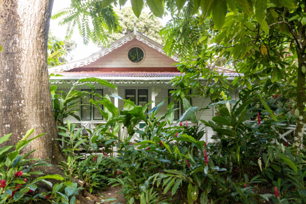 Fond Doux Resort St Lucia rooms