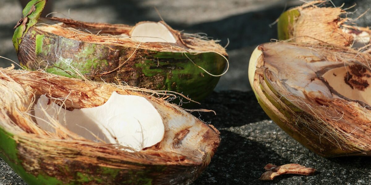 flavors of St. Lucia