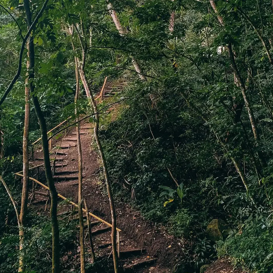 ActivitiesNatureTrails_OVAL_1620X1080