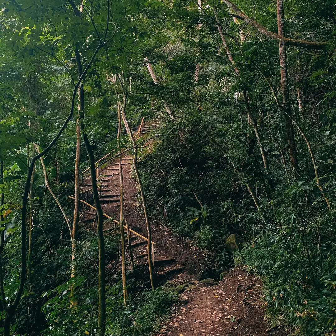 BeyondTheOrdinary_Circle_1080x1080 BeyondTheOrdinary_Circle_1080x1080