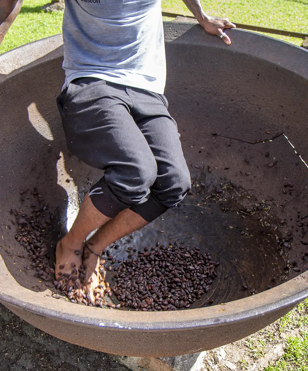 CocoaDancing_Tall_1080x1300