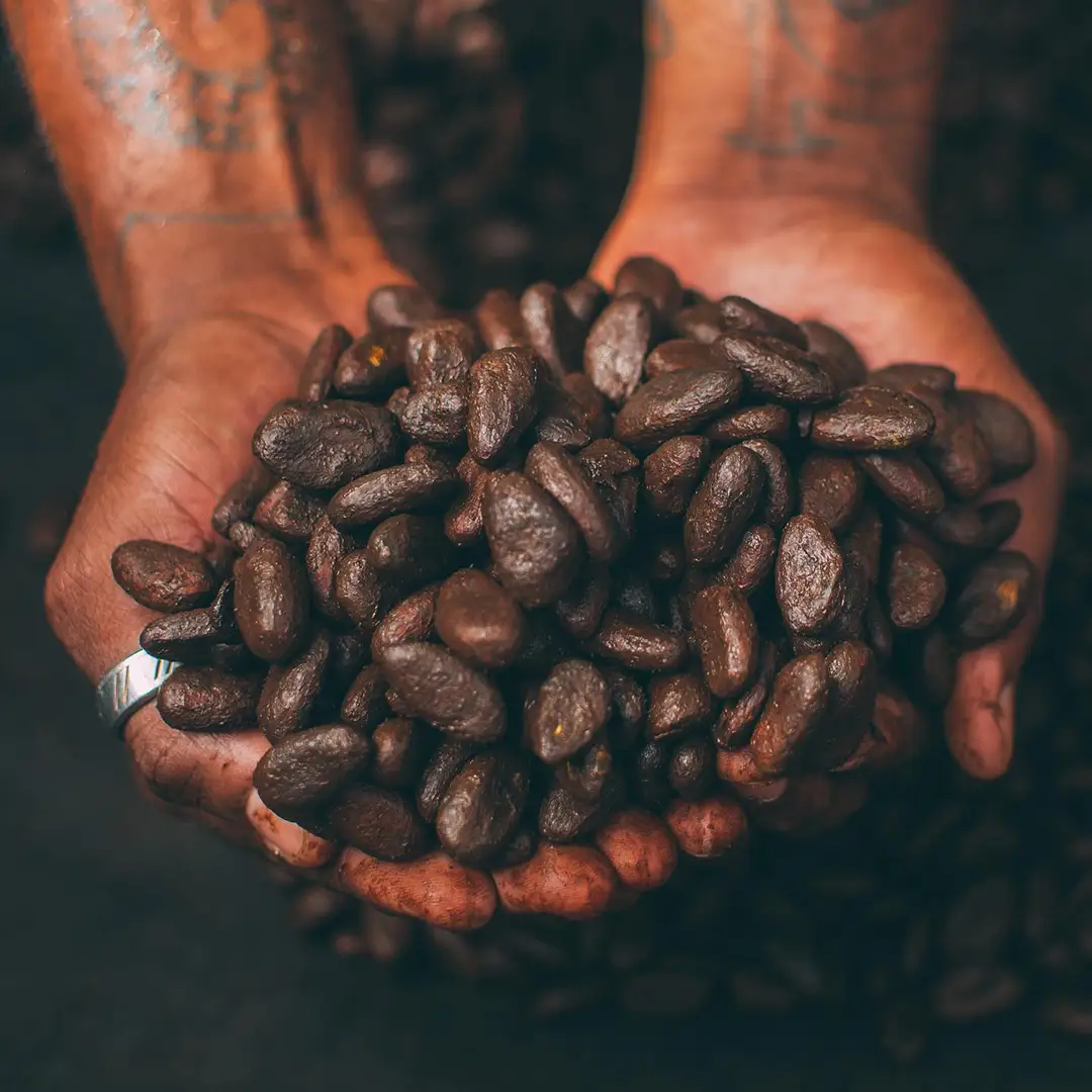 CocoaRoasting_Circle_1080x1080