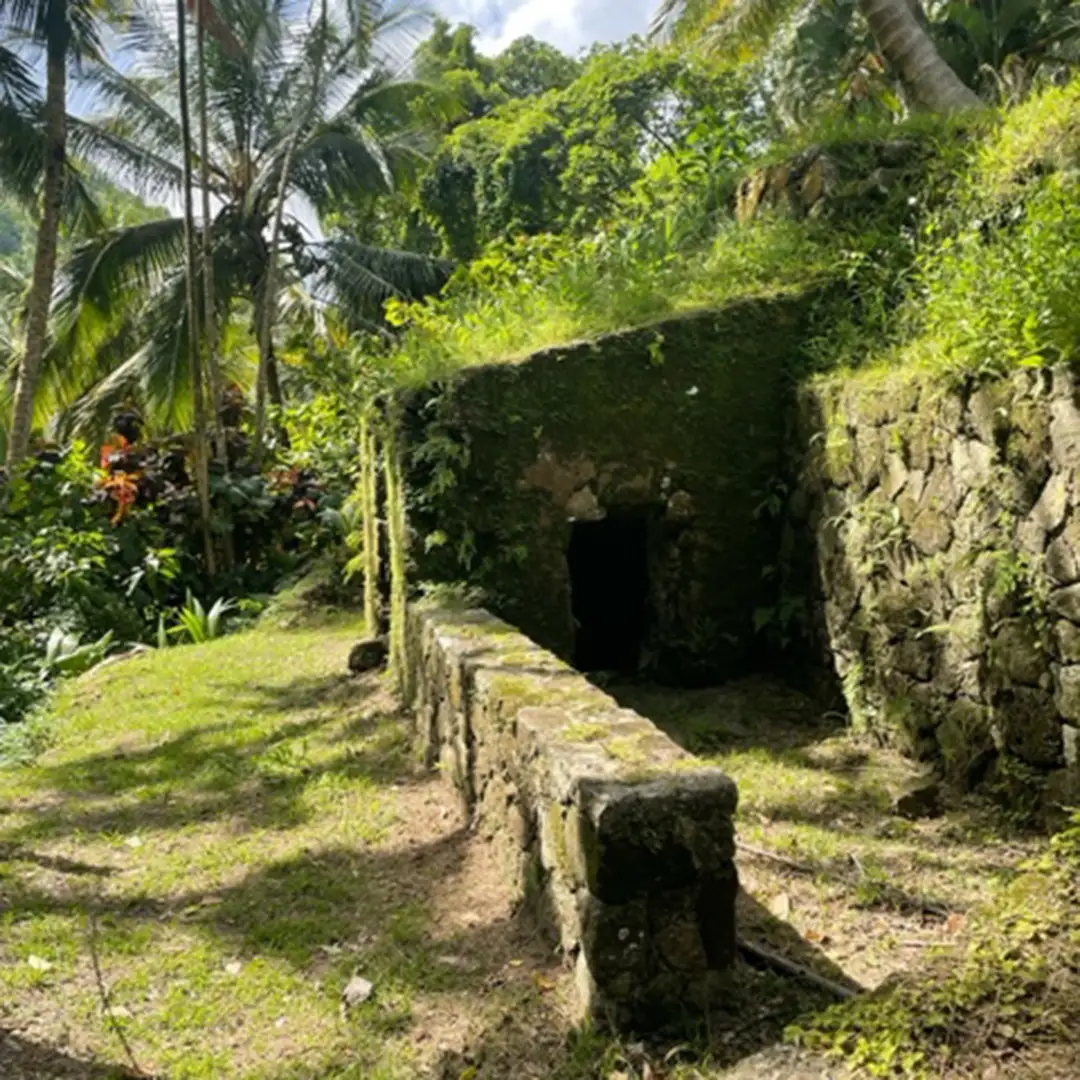 FightforFreedom_Circle_1080x1080