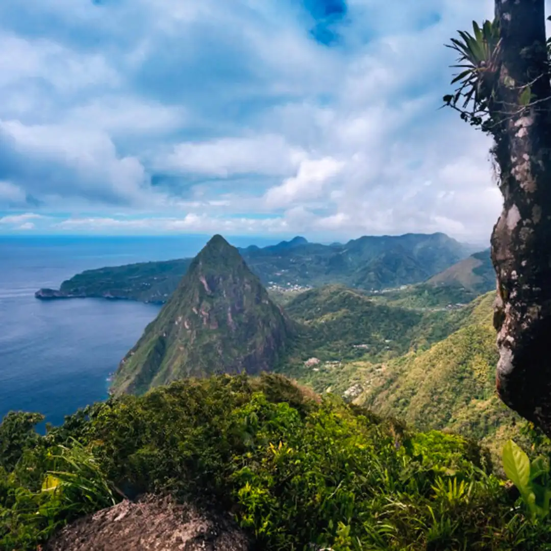 GrosPiton_Square_1080x1080