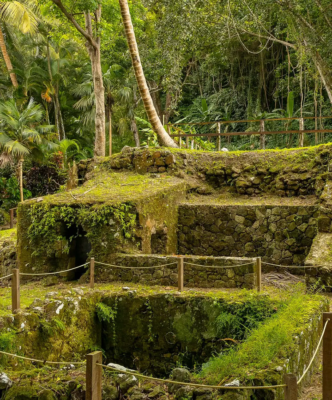 HistoryisHonored_Tall_1080x1300