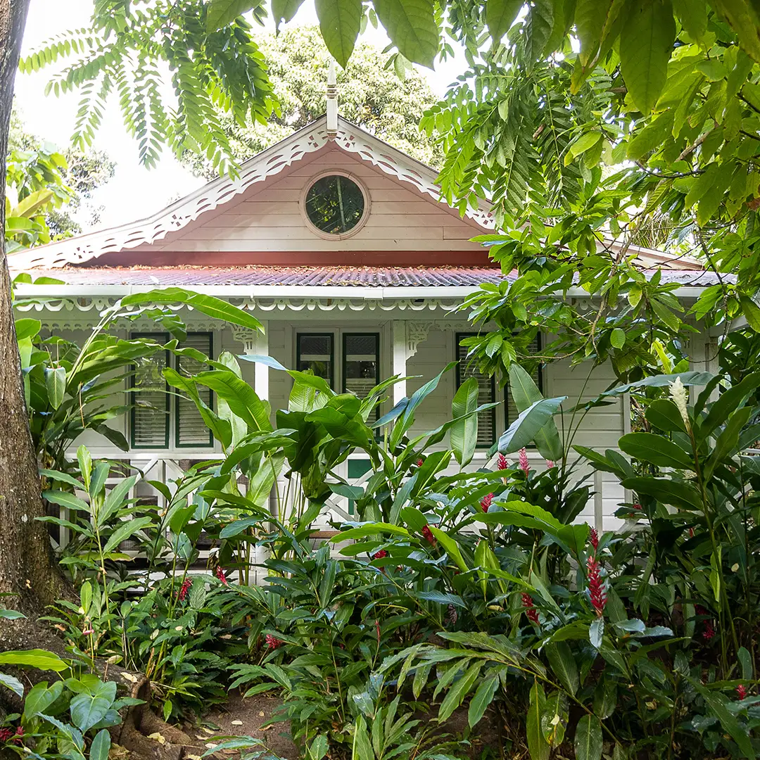 OneBedAC_Circle_1080x1080