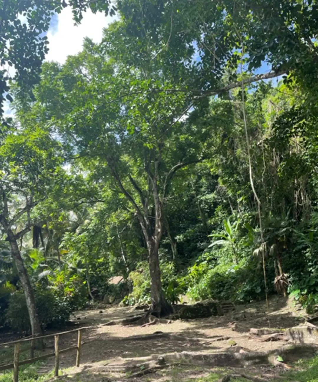 VisitHistoricPark_Tall_1080x1300