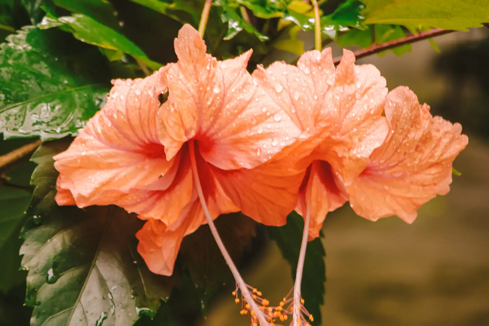 VisitSmall_Slide_1620x1080