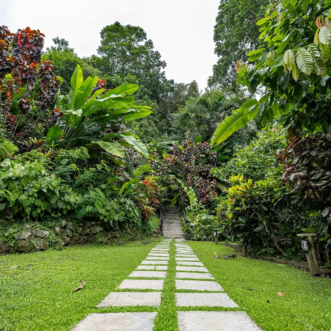 WhereHistoryLives_Tall_1080x1300