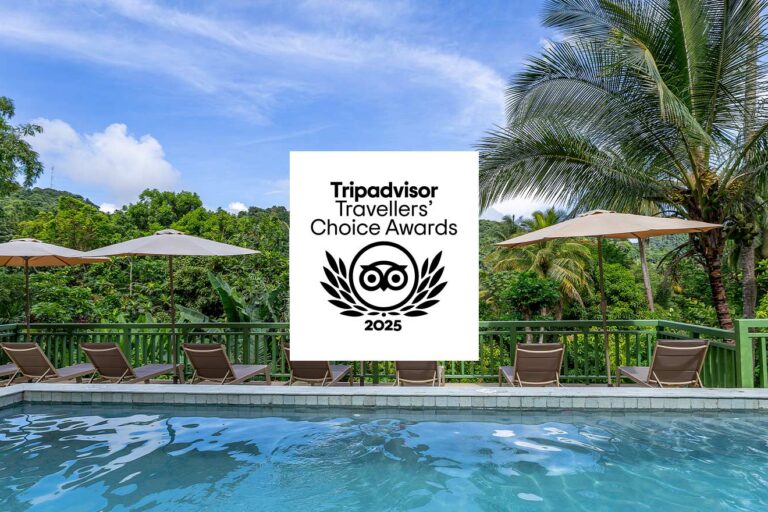 Tripadvisor 2025